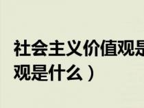 社会主义价值观是什么的体现（社会主义价值观是什么）