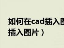 如何在cad插入图片不显示底色（如何在cad插入图片）