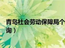 青岛社会劳动保障局个人查询（青岛社会劳动保障网个人查询）