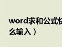 word求和公式快速输入（word求和公式怎么输入）