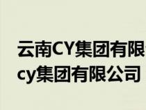 云南CY集团有限公司2009年活动演出（云南cy集团有限公司）