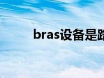 bras设备是路由器吗（bras设备）