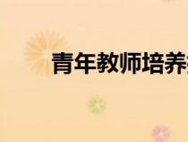 青年教师培养指导记录（青年教师）