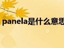 panela是什么意思（panel是什么意思中文）