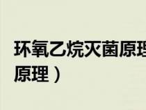 环氧乙烷灭菌原理概述是什么（环氧乙烷灭菌原理）