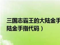 三国志霸王的大陆金手指代码怎么输入（三国志2霸王的大陆金手指代码）