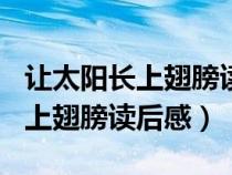 让太阳长上翅膀读后感150字左右（让太阳长上翅膀读后感）