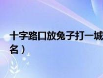 十字路口放兔子打一城市名字（十字路口放兔子打一中国地名）