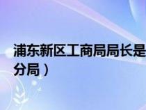 浦东新区工商局局长是谁（上海市工商行政管理局浦东新区分局）