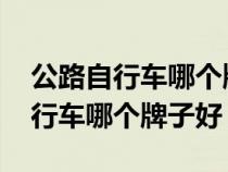 公路自行车哪个牌子好3000以内的（公路自行车哪个牌子好）