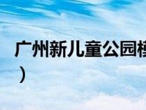 广州新儿童公园模型车场地（广州新儿童公园）