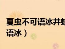 夏虫不可语冰井蛙不可语海啥意思（夏虫不可语冰）