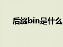 后缀bin是什么文件（bin是什么文件）