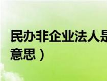 民办非企业法人是什么意思（企业法人是什么意思）