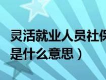 灵活就业人员社保缴费怎么交（灵活就业人员是什么意思）