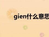 gien什么意思（gqueen什么意思）