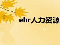 ehr人力资源管理（ehr人事系统）