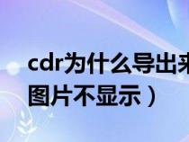 cdr为什么导出来的图片是空白的（cdr导出图片不显示）