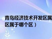 青岛经济技术开发区属于哪个区公安局（青岛经济技术开发区属于哪个区）