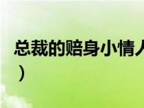 总裁的赔身小情人多少字（总裁的赔身小情人）