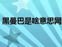 黑曼巴是啥意思网络用语（黑曼巴是啥意思）