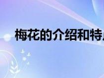 梅花的介绍和特点50字（梅花资料介绍）