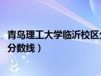 青岛理工大学临沂校区分数线2021（青岛理工大学临沂校区分数线）