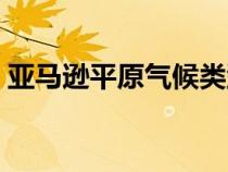 亚马逊平原气候类型气候特点（亚马逊平原）