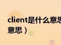 client是什么意思中文计算机（client是什么意思）