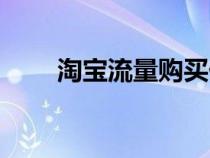 淘宝流量购买价格（淘宝流量购买）