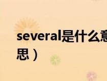 several是什么意思中文（several是什么意思）