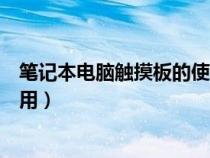 笔记本电脑触摸板的使用技巧（笔记本电脑鼠标触摸板怎么用）