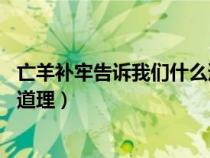 亡羊补牢告诉我们什么道理10个字（亡羊补牢告诉我们什么道理）