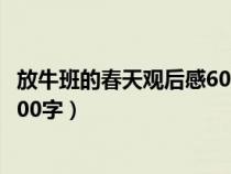 放牛班的春天观后感600字左右高中（放牛班的春天观后感600字）