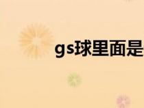 gs球里面是什么宝可梦（gs球）