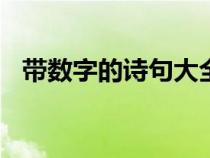 带数字的诗句大全400个（带数字的诗句）