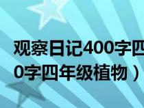 观察日记400字四年级植物绿萝（观察日记400字四年级植物）