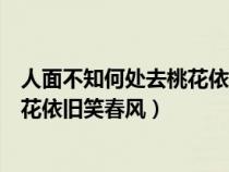 人面不知何处去桃花依旧笑春风下一句（人面不知何处去桃花依旧笑春风）