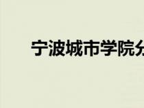 宁波城市学院分数线（宁波城市学院）