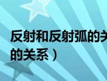 反射和反射弧的关系是怎样的（反射和反射弧的关系）