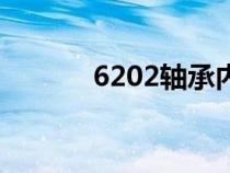 6202轴承内外径尺寸（6202）