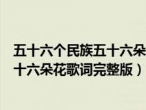 五十六个民族五十六朵花歌词完整版原唱（五十六个民族五十六朵花歌词完整版）