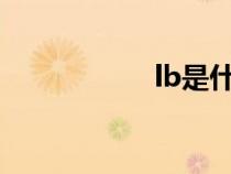 lb是什么单位（lbs）