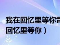 我在回忆里等你司徒玦当年发生什么事（我在回忆里等你）