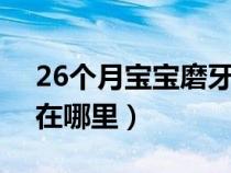 26个月宝宝磨牙（360浏览器internet选项在哪里）