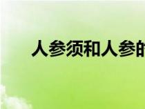 人参须和人参的功效一样吗（人参须）