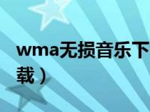 wma无损音乐下载到手机（wma无损音乐下载）