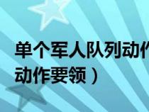 单个军人队列动作要领教学法（单个军人队列动作要领）