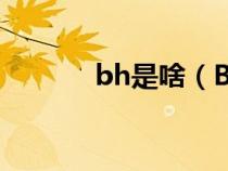 bh是啥（BHA是什么意思呀）