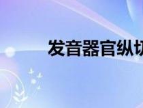 发音器官纵切面示意图（读音器）